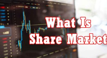 How Does the Stock Market Work in India? : Basics Knowledge For Beginners